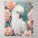 Search for cockatoo art posters Pink