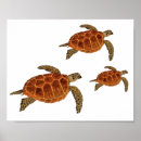 Recherche de endangered posters Sea