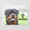 Search for rottys postcards Rottie