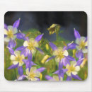 Search for columbines electronics Blue