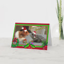 Search for toad christmas cards Santa