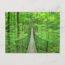 Recherche de pont cartes postales Connexion