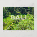 Search for rice terraces postcards Indonesia