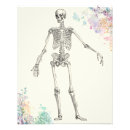 Search for human body diagram posters Biology