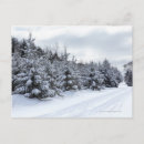 Recherche de arbre à feuillage persistant cartes postales Paysage