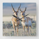 Search for danita delimont clocks Bureau of land management