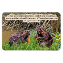 Search for scripture scriptures magnets Bible