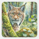Search for lynx stickers Feline