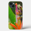 Search for smart frog Green