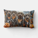 Recherche de à poils durs coussins Chien