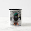Search for mallard mugs Nature