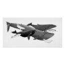 Recherche de mammifères marins posters Nature