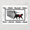 Search for volunteering postcards Animal rescue