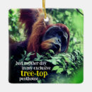 Search for orangutan ornaments Ape