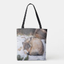 Search for wolves bags Animals