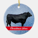 Search for beef ornaments Farmer