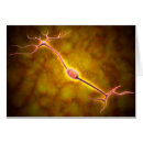 Recherche de neurones cartes postales Horizontal