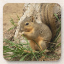 Search for fun cork coasters Wildlife