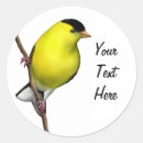 Search for goldfinch stickers Finches