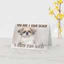 Search for shih tzu birthday cards Animals