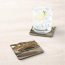 Search for james coasters Usa