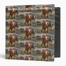 Search for thoroughbred binders Racehorse