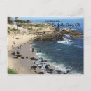 Recherche de otaries cartes postales Travel