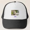 Search for horse hats Nature