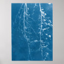 Search for sash window posters Floral