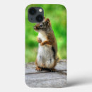 Search for squirrel photos iphone cases Wildlife