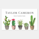 Search for watercolor cactus stickers Botanical