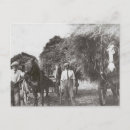 Search for carts horizontal postcards Horses