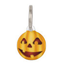 Recherche de citrouille animaux articles Halloween