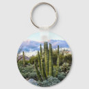 Search for arizona sunset keychains Landscape