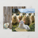 Search for herds invitations Farm