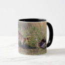 Search for ditto mugs Danita delimont