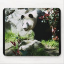 Recherche de panda mignon tapis souris Zoo
