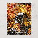 Search for curving postcards Autumn