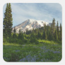 Search for washington hikes stickers Mountain