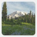 Search for mount rainier stickers Hiking