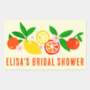 Search for lemons rectangle stickers Modern