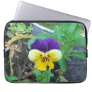 Search for pansy electronics Pretty