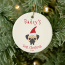 Recherche de pug decor Puppy