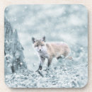 Recherche de petit renard dessous de verres Faune