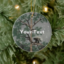 Recherche de porc drôle ornements Noël