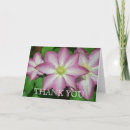 Search for clematis vines cards Nature