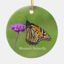 Recherche de papillon de monarque ornements Animal