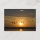 Search for florida business cards Travel