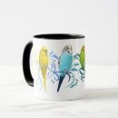 Search for parakeet mugs Parrots