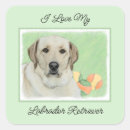 Search for yellow labrador stickers Puppy